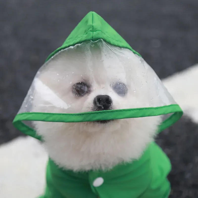 2025 Free shipping Pet jumpsui - đánh giá và giá Winter Clothing Brand Names